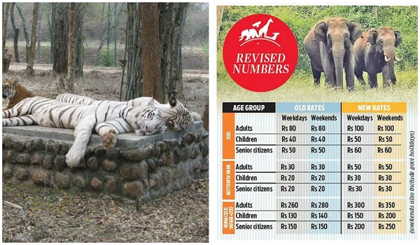 Bannerghatta National Park Ticket Price (2024–2025)