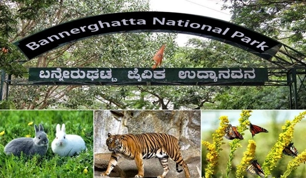 Bannerghatta Road National Park